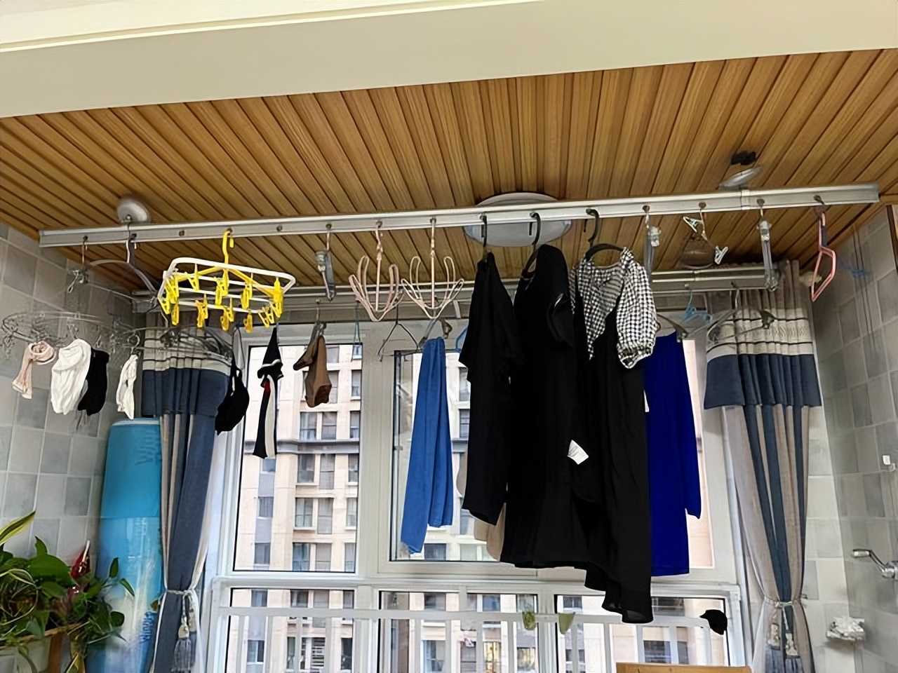 ���ڱ������������ļҾ��������ֻ�в輸