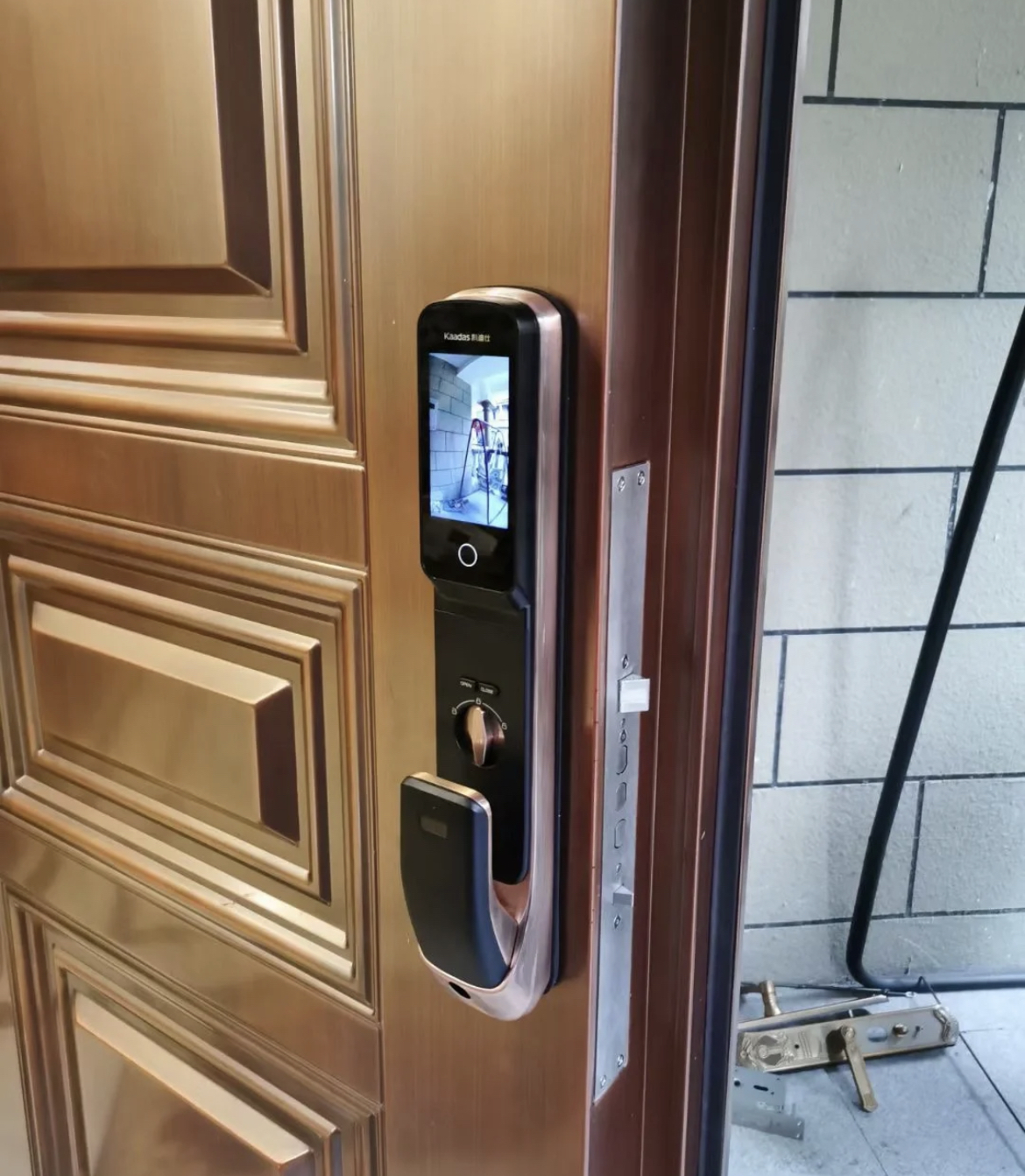 ���ڱ������������ļҾ��������ֻ�в輸