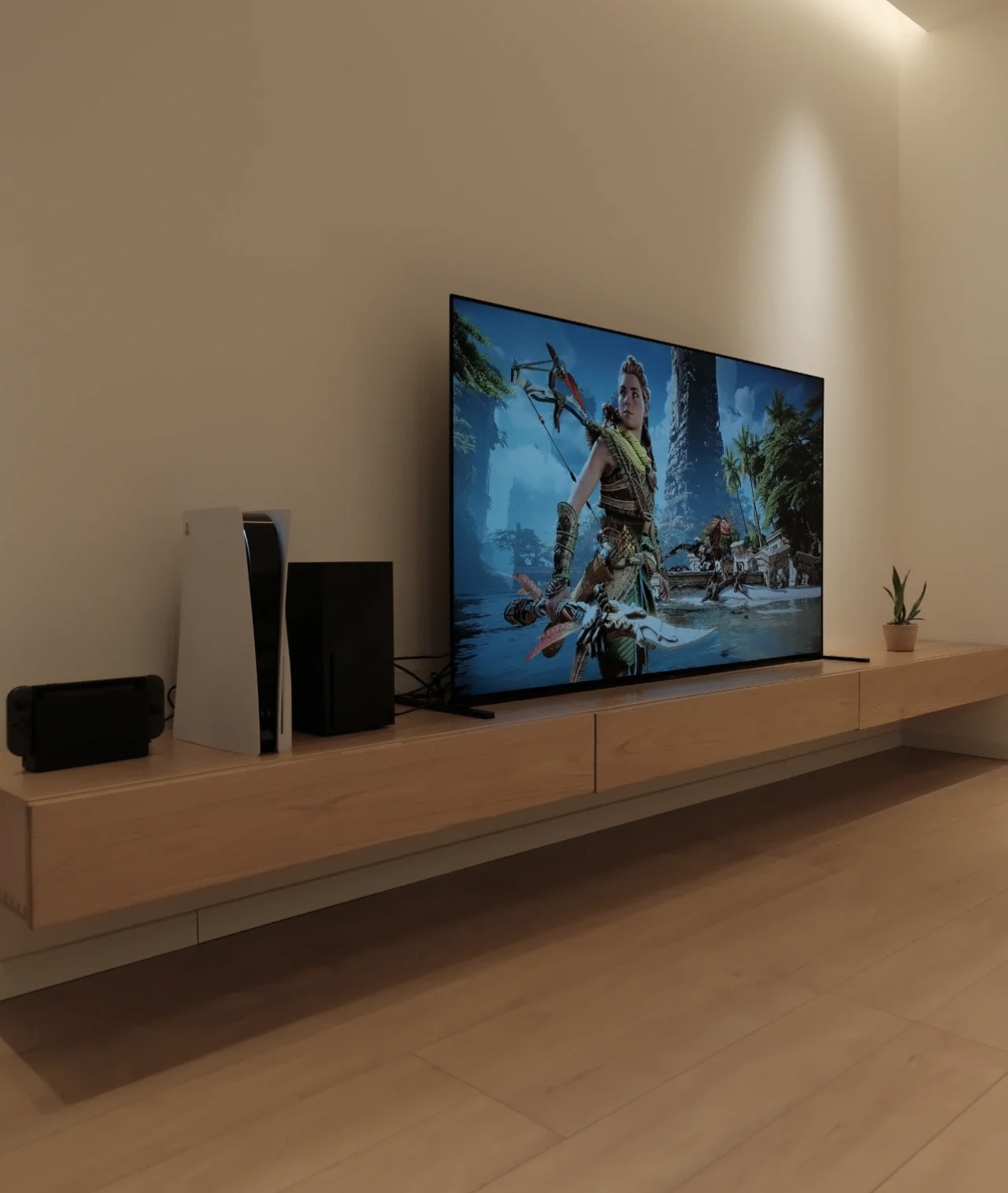 ���ڱ������������ļҾ��������ֻ�в輸