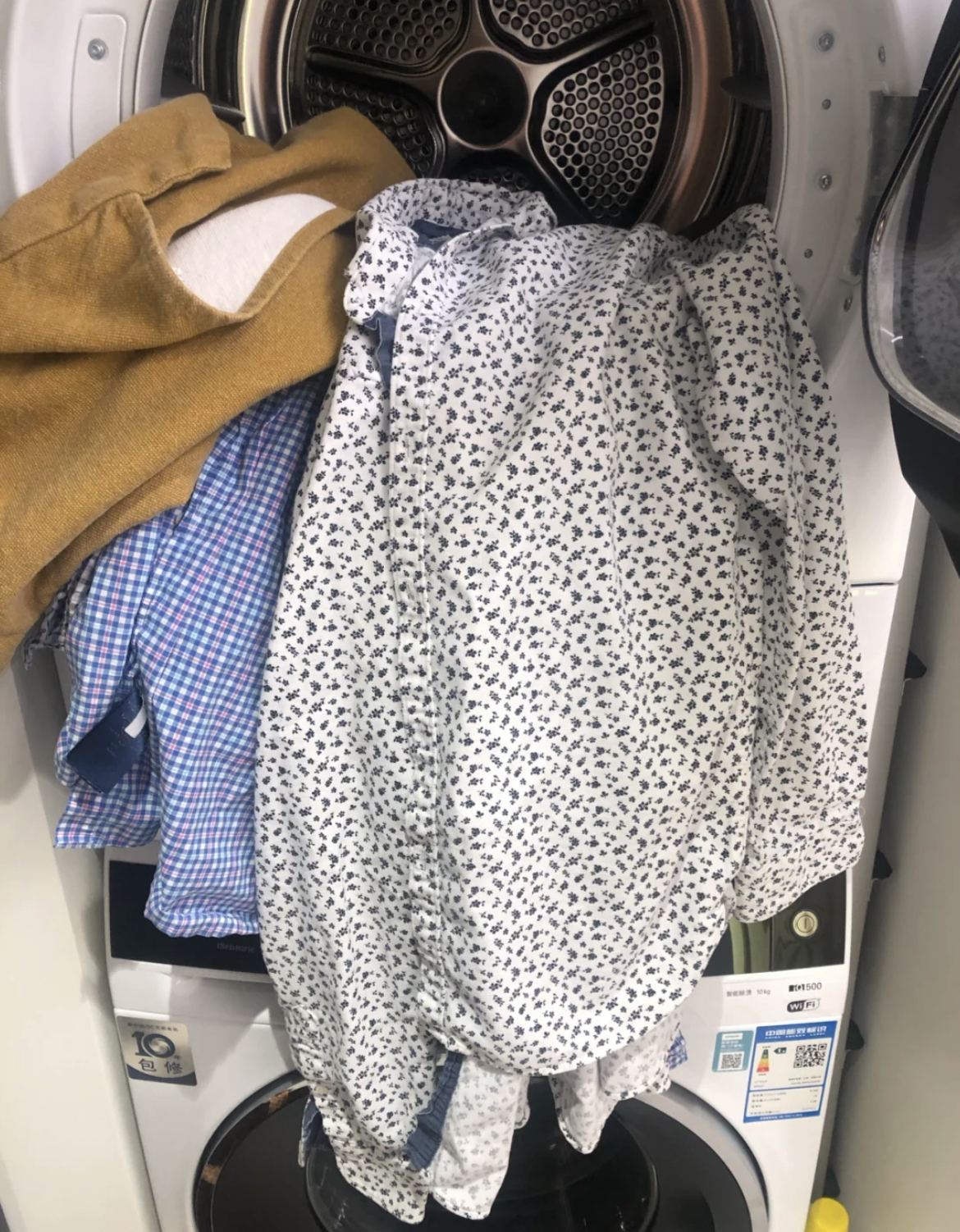 ���ڱ������������ļҾ��������ֻ�в輸