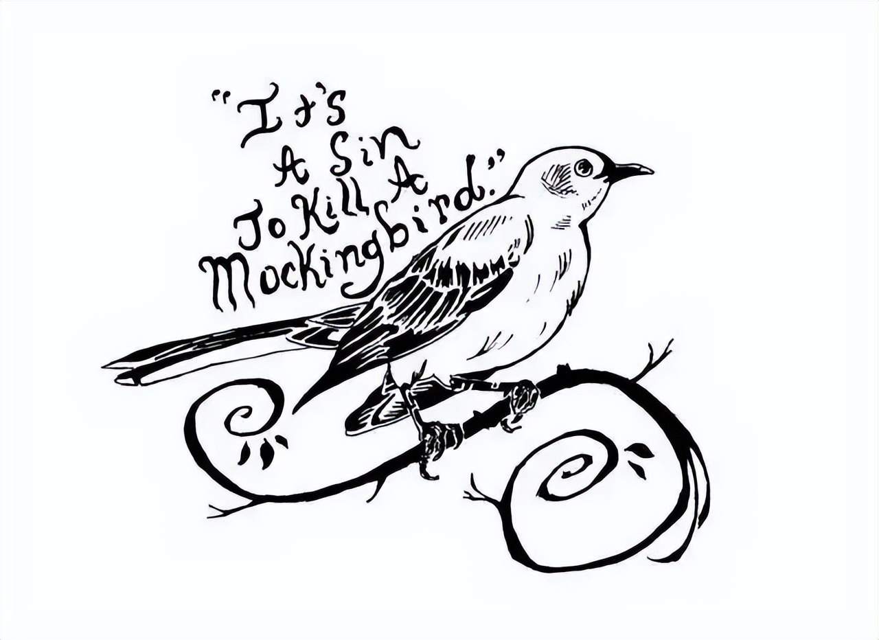 ��ɱ��һֻ֪�����ǻ۾���8�仰���������ԣ�˵͸����