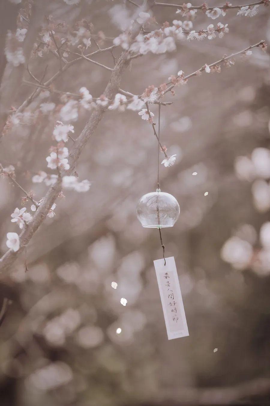 图片[6]-中国人对时间的雅称，有多美-小改变网