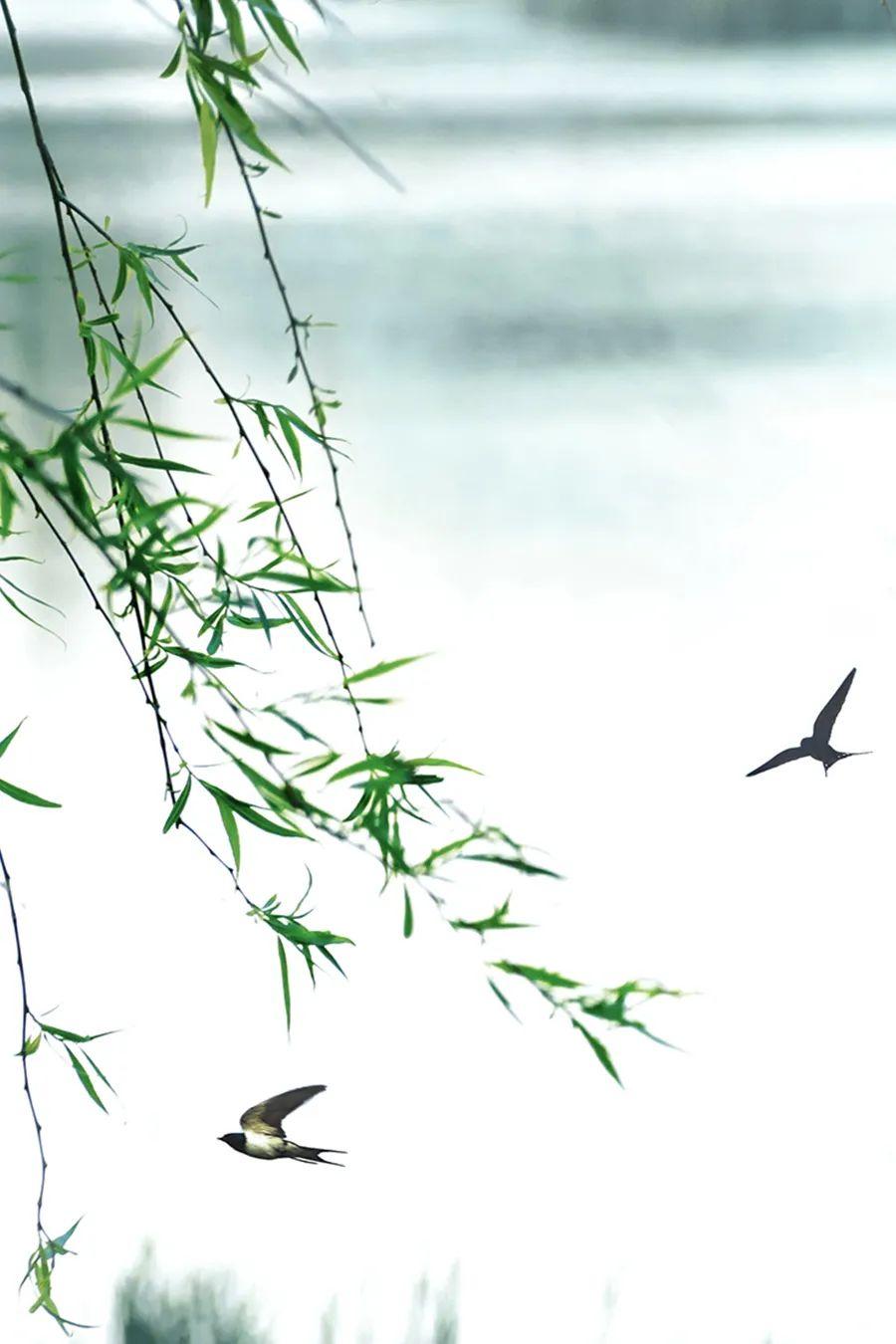 图片[10]-中国人对时间的雅称，有多美-小改变网