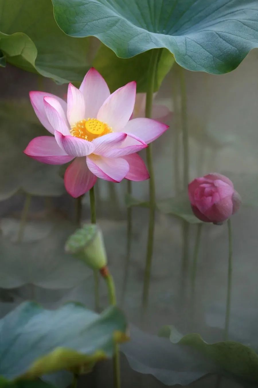 图片[11]-中国人对时间的雅称，有多美-小改变网