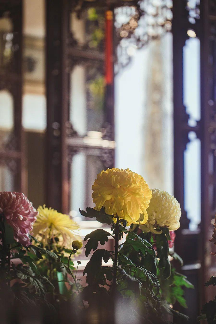 图片[12]-中国人对时间的雅称，有多美-小改变网