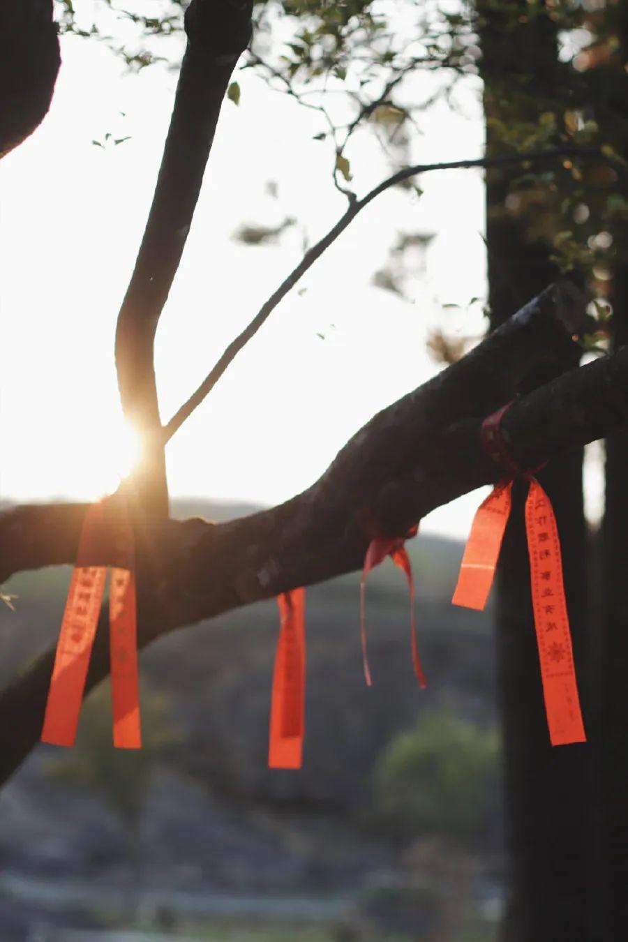 图片[31]-中国人对时间的雅称，有多美-小改变网