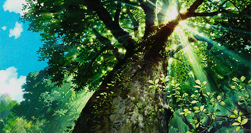 宫崎骏的夏天有多美？这些图告诉你