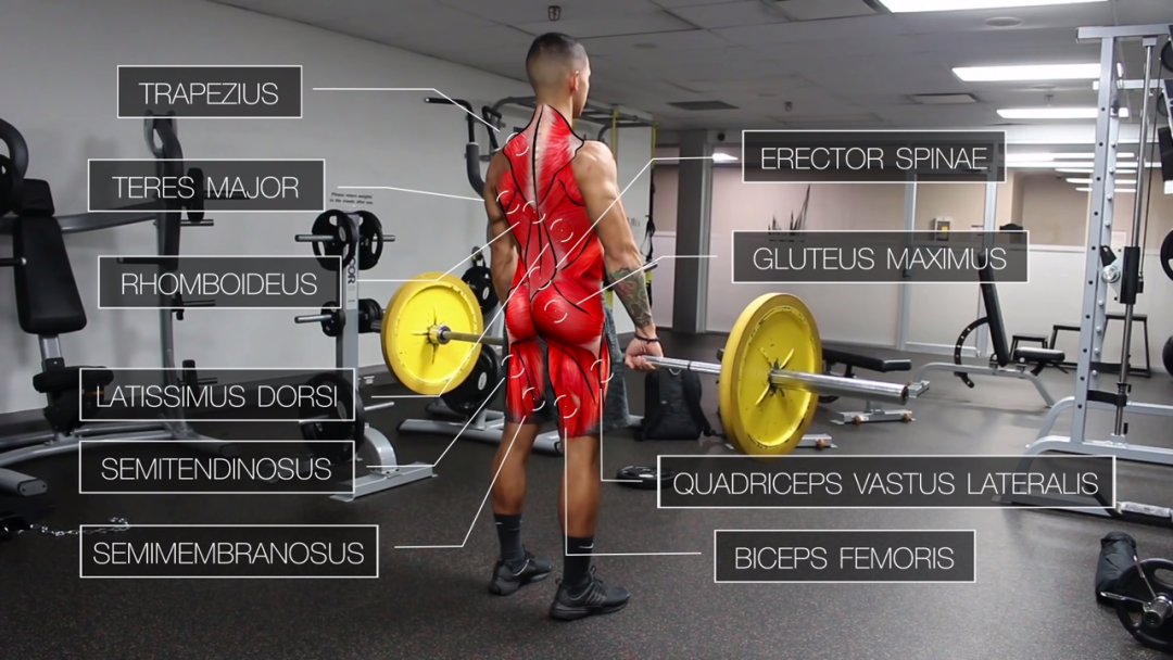 一套高效全面的背部训练，练出圣诞树背