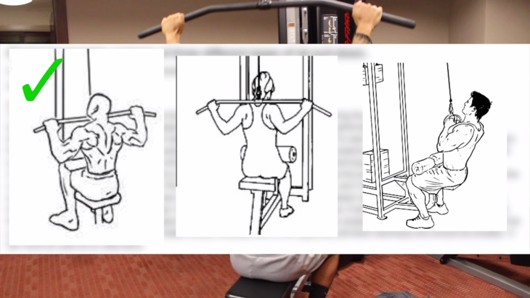 一套高效全面的背部训练，练出圣诞树背