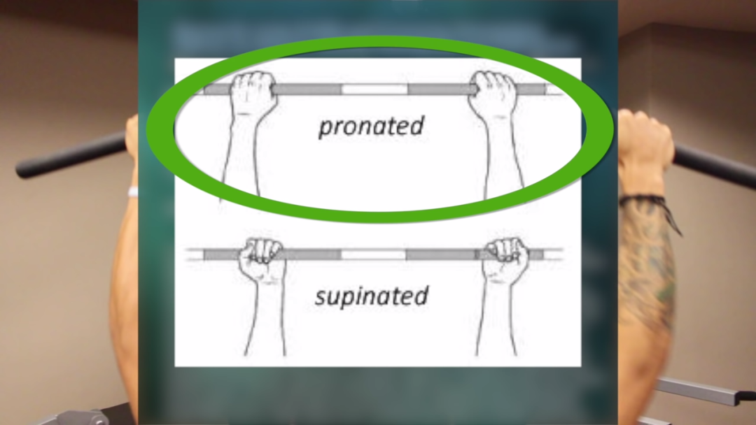 一套高效全面的背部训练，练出圣诞树背