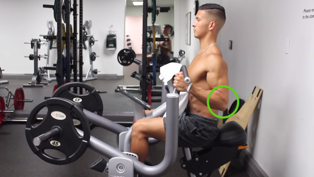 一套高效全面的背部训练，练出圣诞树背