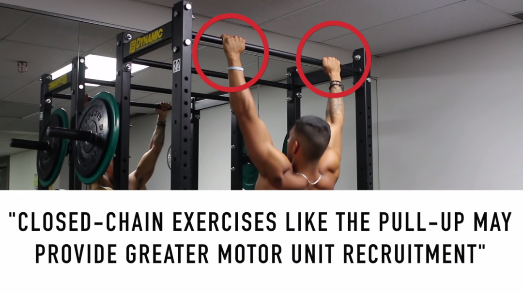 一套高效全面的背部训练，练出圣诞树背