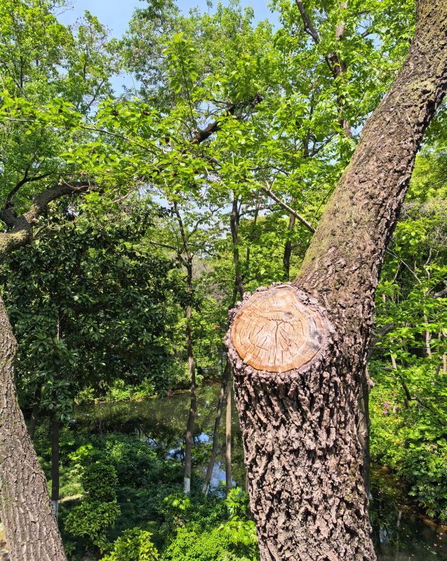 🌿一景一悟🌿-小改变网