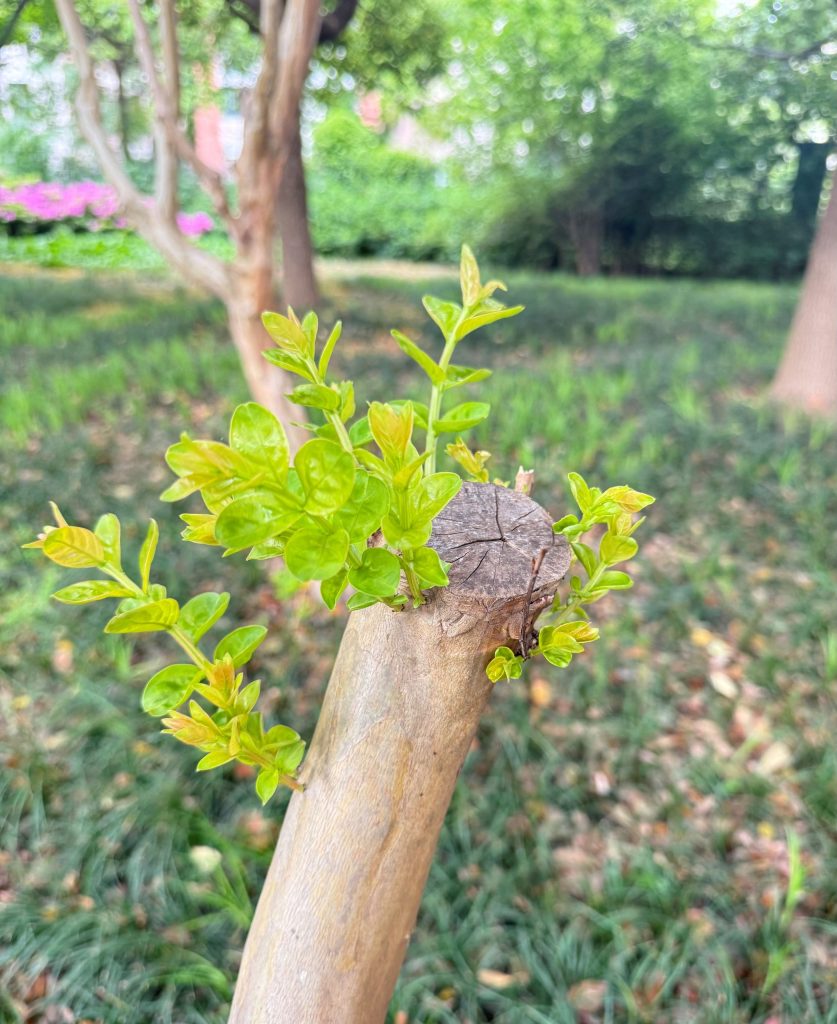 20260422135322402-222