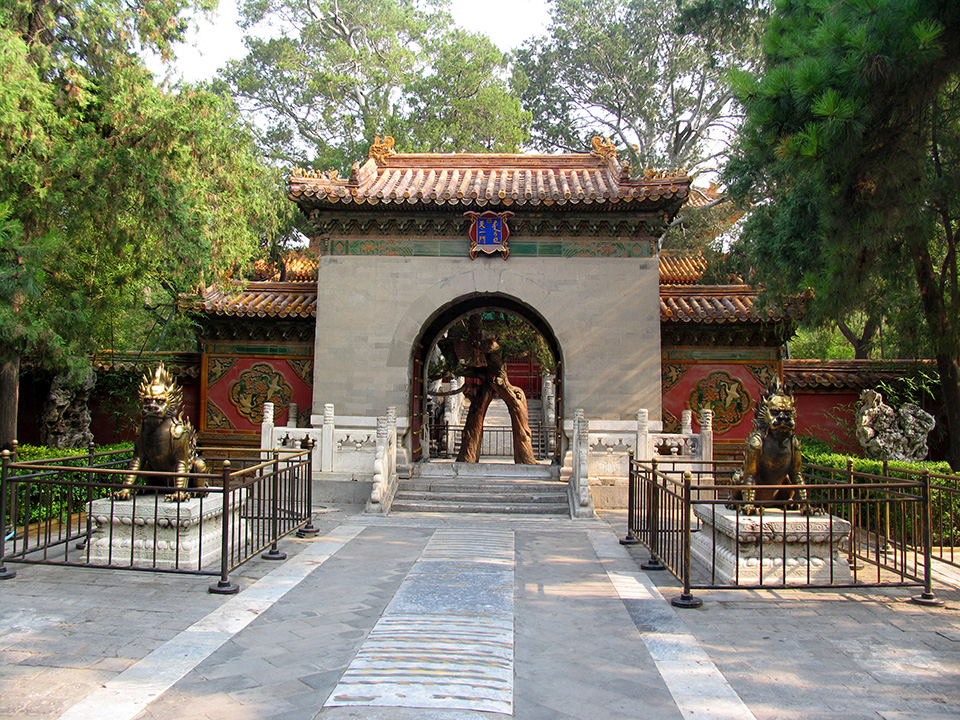 走在空无一人的紫禁城御花园区是一种怎样的感受？