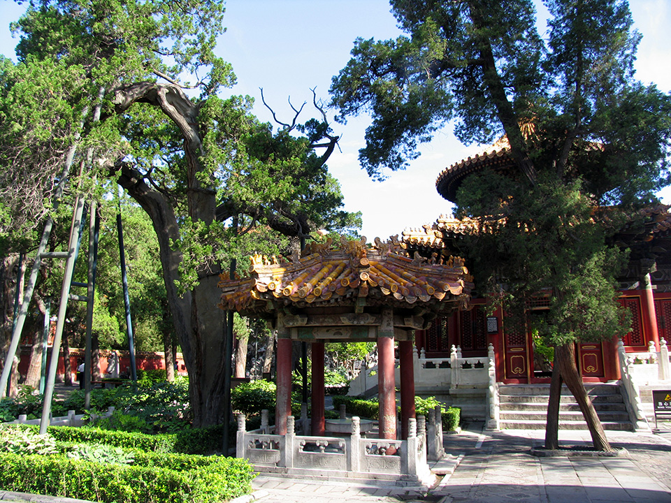 走在空无一人的紫禁城御花园区是一种怎样的感受？