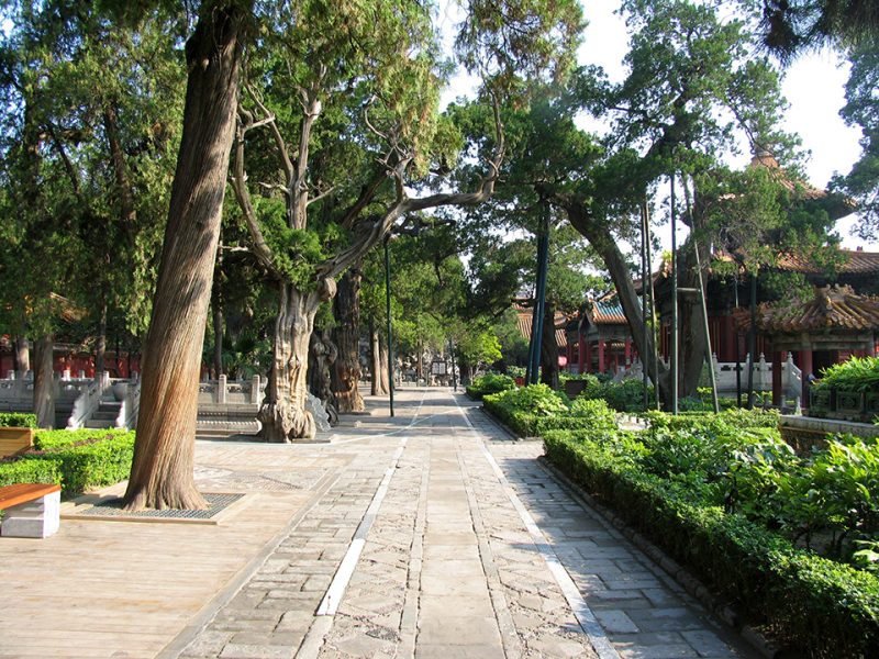 走在空无一人的 紫禁城御花园-小改变网