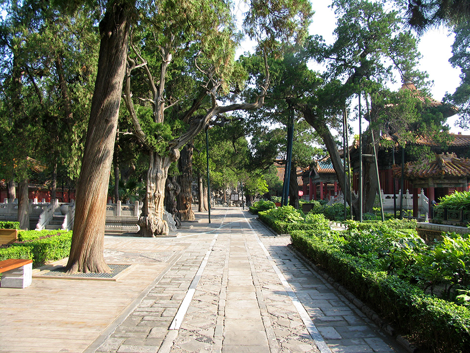 走在空无一人的紫禁城御花园区是一种怎样的感受？