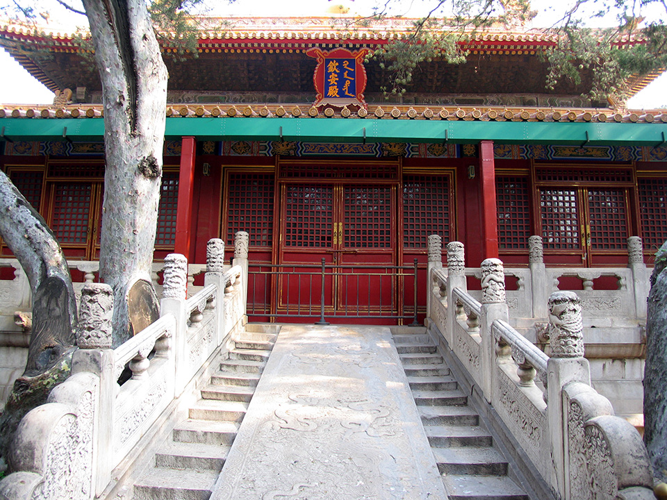 走在空无一人的紫禁城御花园区是一种怎样的感受？