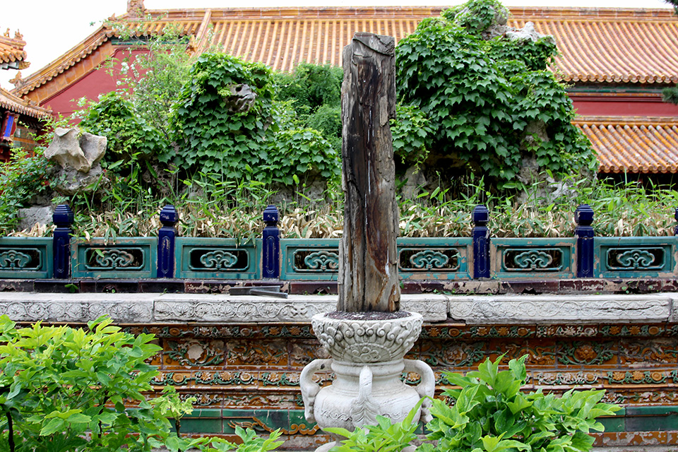 走在空无一人的紫禁城御花园区是一种怎样的感受？