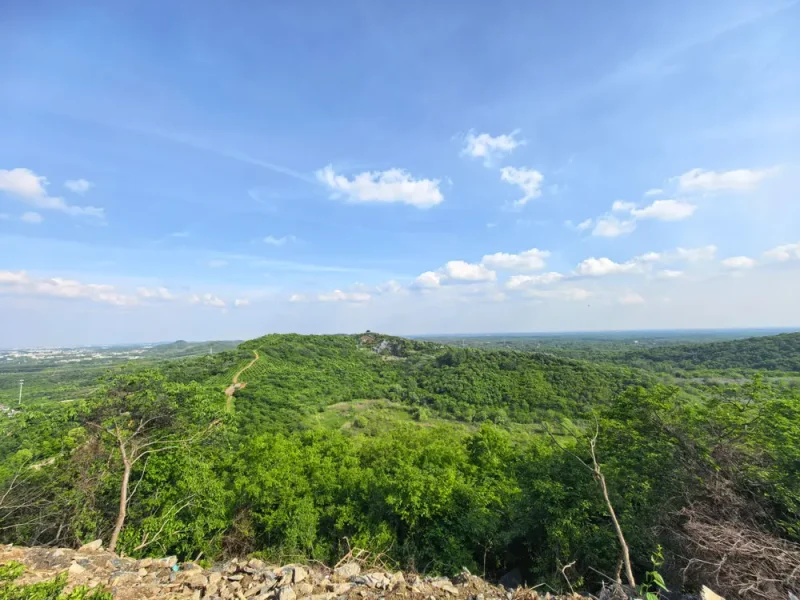 图片[9]-登黄连山，寻齐梁文化，这座免费森林公园藏着千年风雅与山野诗意-小改变网